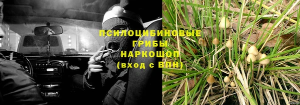 амф Абаза