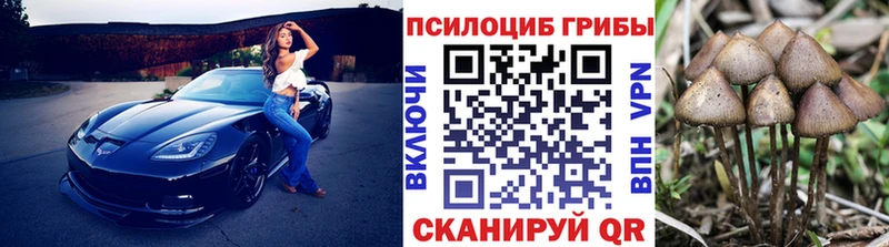 купить наркоту  Сорск  OMG как зайти  Псилоцибиновые грибы Cubensis 